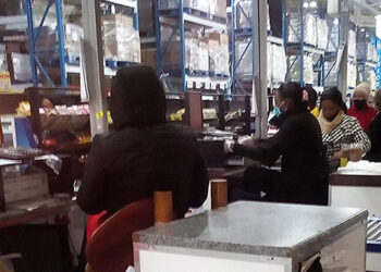 Zig Currency, A Game-Changer for Economic Stability and Financial Inclusion