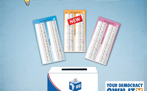 2024 Elections Voting ballot papers look