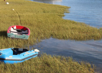 Diving in deep to save lives