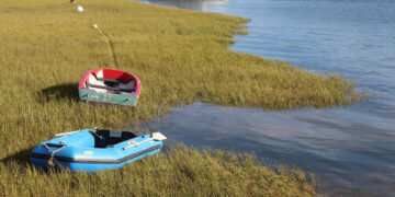 Diving in deep to save lives