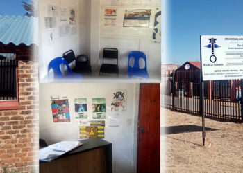 Sanca rehabilitation centre a safe haven in Soweto
