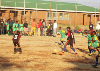 Dikgaisano tsa metshameko di rotloetsa kopanyo setšhaba