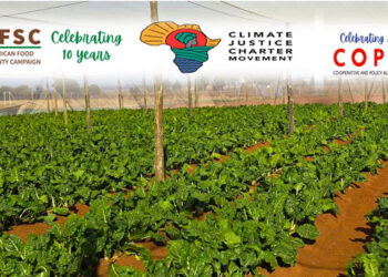 South African Food Sovereignty Campaign march to Parliament