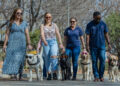 SA Guide-Dogs Association launches 2nd annual Wear Your Shades DayÂ