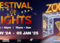 A Magical Night Under the Stars, Celebrating Joburg Festival of Lights