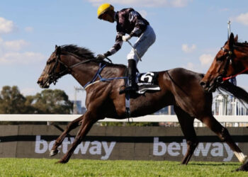 Flair, Fashion, and Victory, as Atticus Finch clinches the Betway Summer Cup