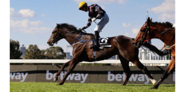 Flair, Fashion, and Victory, as Atticus Finch clinches the Betway Summer Cup