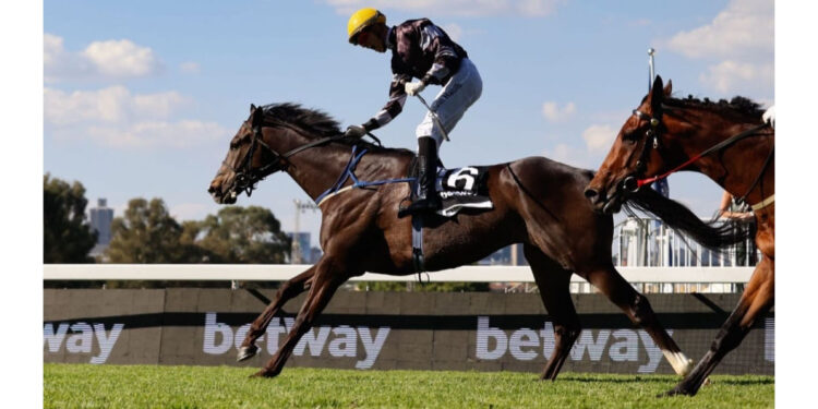 Flair, Fashion, and Victory, as Atticus Finch clinches the Betway Summer Cup