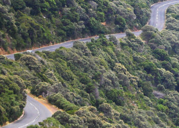 A restart for new Opportunities!