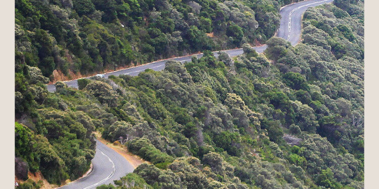 A restart for new Opportunities!