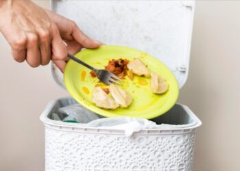 South Africa Counts the Cost of Food Waste