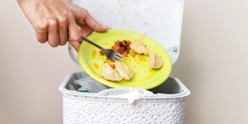 South Africa Counts the Cost of Food Waste