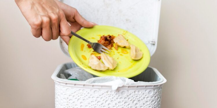 South Africa Counts the Cost of Food Waste