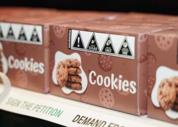 Big Food’s Marketing to Children Under Scrutiny