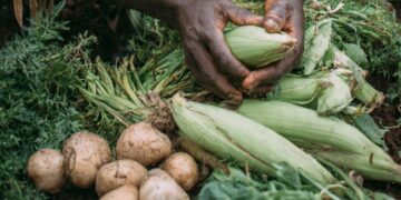 World Food Day: Biodiversity,  Agroecology and Nature Rights