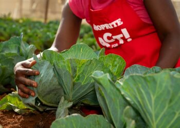Harvesting change through food garden competition
