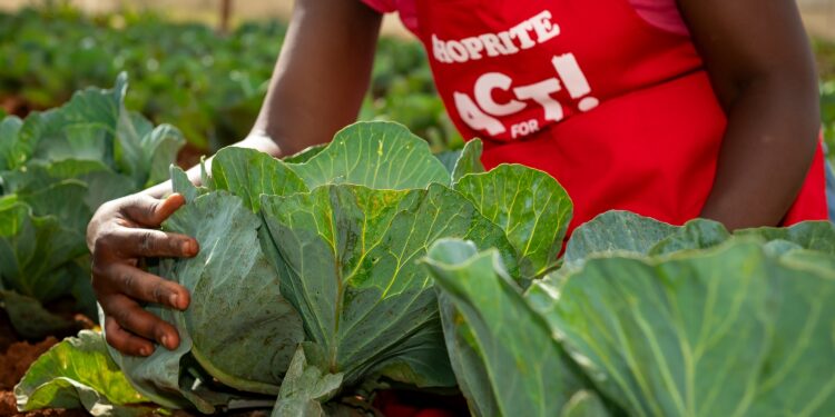 Harvesting change through food garden competition