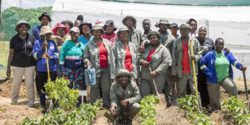 Top 10 finalists announced for food garden competition