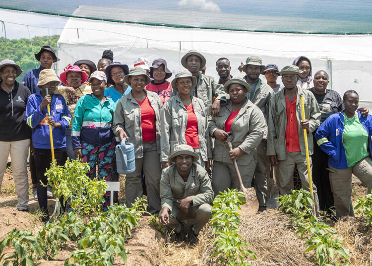 Top 10 finalists announced for food garden competition