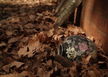 Join JHF and Friends of Johannesburg Cemeteries 67 minutes cleanup