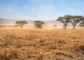 SAWS warns of very strong El Niño
