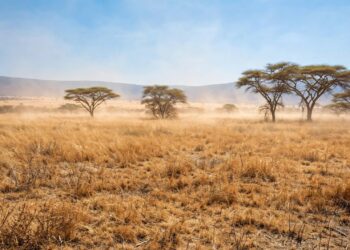 SAWS warns of very strong El Niño