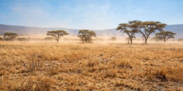 SAWS warns of very strong El Niño