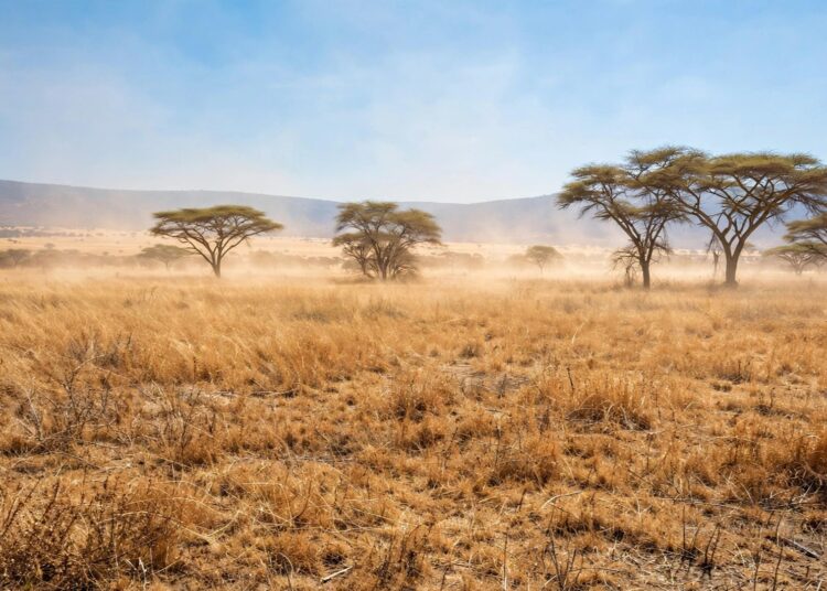 SAWS warns of very strong El Niño
